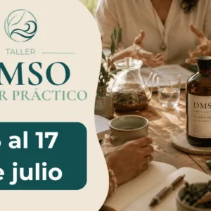 Taller Presencial - DMSO